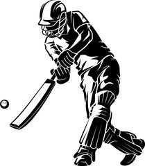 Wall Mural - Cricket Low Swing Shadow