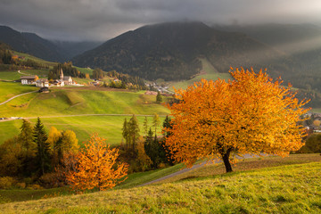  Dolomiti in Autumn landscape tree colours mountains