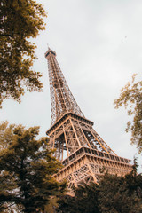 Eiffel Tower view through leaves, paris