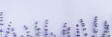 Flowers Background Banner. Frame Pattern Of Lavender Flowers On Pale Purple, Violet  Background. Top View. Copy Space