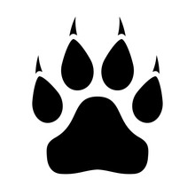 Animal Paw Icon With Claws