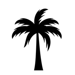 Wall Mural - Palm silhouette vector icon
