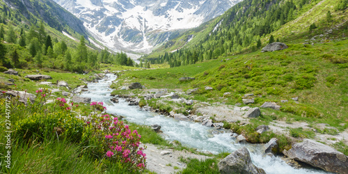 Fotomural Panorama einer Berglandschaft mit Gletscher und Gebirgsbach