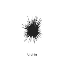 Urchin Icon Vector Symbol Sign