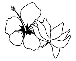 Wall Mural - lotus blossom flowers icon cartoon in black and white