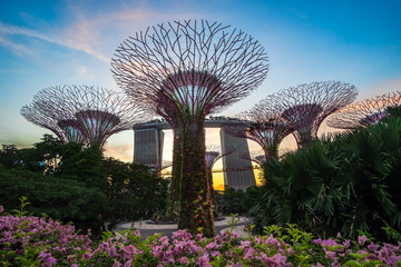 Fototapete - Singapore travel concept, landmark and popular for tourist attractions