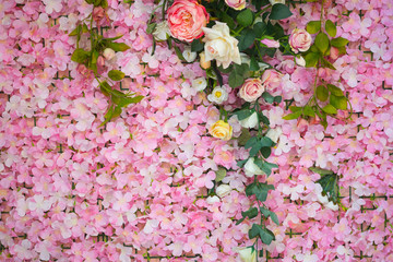 Wall Mural - Flowery texture background