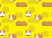 Guinea Pig American Background Seamless Wallpaper
