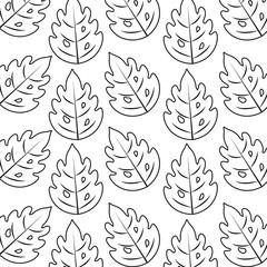 pattern of leafs naturals background