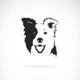 Fototapeta  - Vector of a border collie dog on white background. Pet. Animal. Dog logo or icon.