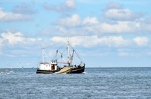 Fishing In The North Sea Near Büsum In North Frisia (Germany)
