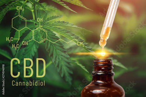 Fotomural Cannabis CBD oil extracts in jars herb and leaves