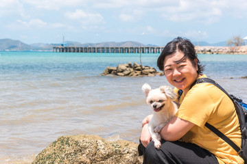 Dog happy fun on rocky beach when travel at sea