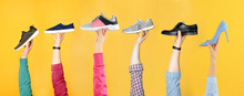 Set Of People Holding Different Stylish Shoes On Color Background, Closeup