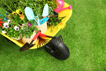 Wall Mural - Wheelbarrow with flowers and gardening tools on grass, above view. Space for text