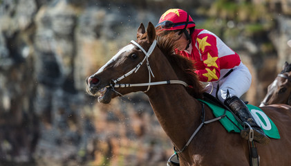 Close up on Galloping race horse and jockey in action,  horse racing on the beach, west coast of Ireland