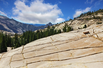 Poster - A  mountain panorama national park Yosemite