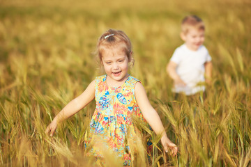 cute children walking and running on the wheat golden field on a sunny summer day. girl and boy smil
