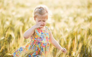 Cute child walking in the wheat golden field on a sunny summer day and crying. Nature in the country