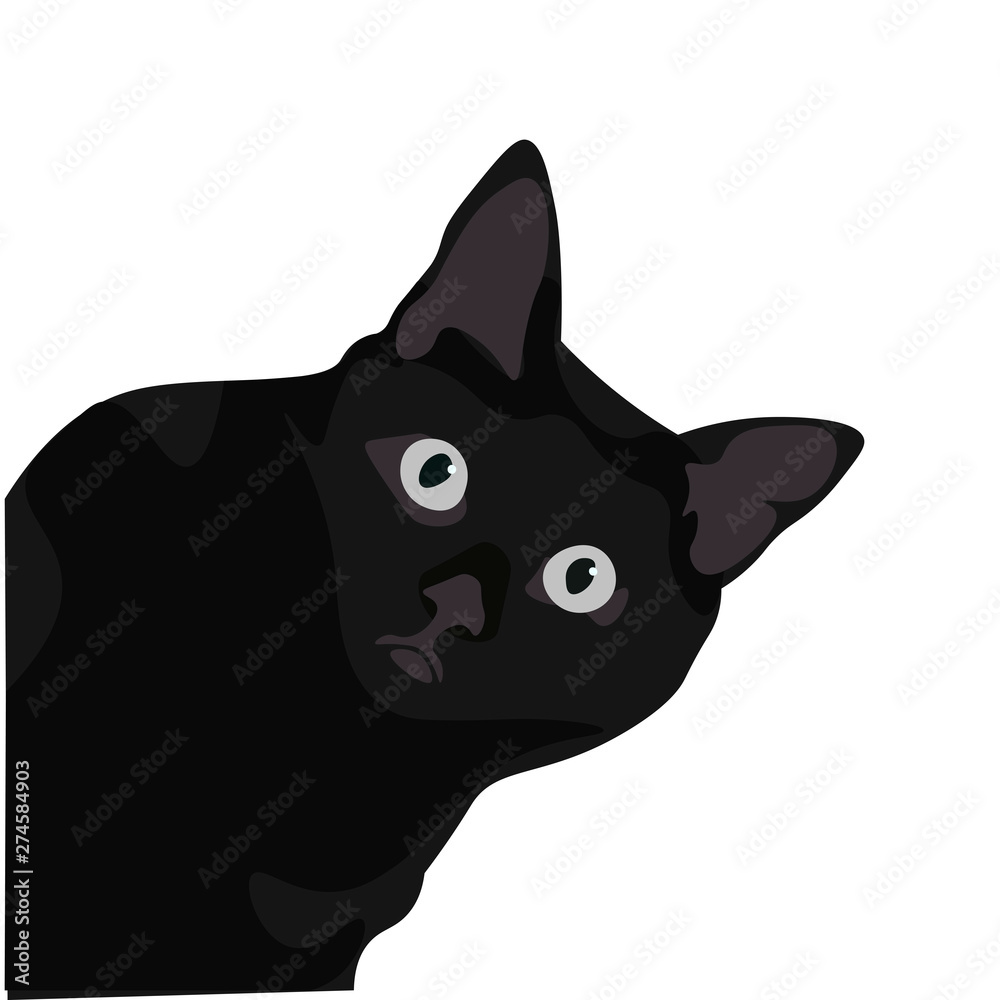 Ilustración de gato de pelo negro. Diseño plano de felino domestico, silueta de animal observando. - obrazy, fototapety, plakaty 