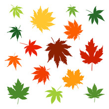 Silhouettes Of Maple Leaves Changing Color From Spring, Summer And Into Fall. Vector Illustrator.