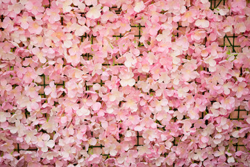 Wall Mural - Pink flower texture background