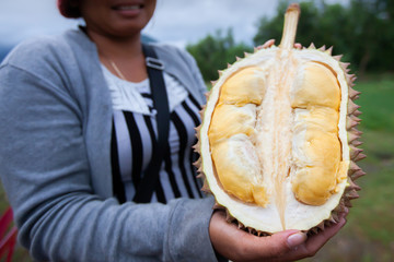 A female Khmer vendor selling ripe half Durian.