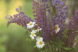 Fototapeta Boho - Bouquet of summer flowers, daisy, blue and white flowers on nature background