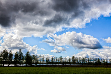 Wall Mural - Summer landscape - lake on a Sunny summer day