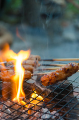 Wall Mural - Grilled pork on fire. Asian food photo