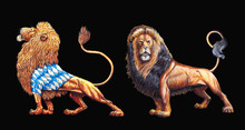 Lion Hand Painted. 2 Lions Illustrations. Big Cat Acrylic Illustration.