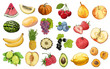 Set of fruits and vegetables in color, isolated on white background. Hand-drawn elements. Vector illustration
