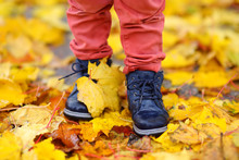 Close Up Photo Of Child Legs In Boots On Background Of A Golden Maple Leaves.