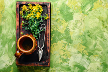 Tea With Hypericum Flowers