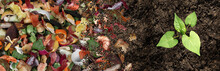 Composted Soil Cycle