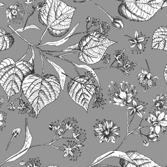 Linden blossom hand drawn seamless pattern with flower, lives and branch in black and white color on gray background. Retro vintage graphic design Botanical sketch drawing