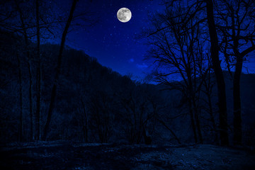 Wall Mural - mountain road through the forest on a full moon night. scenic night landscape of country road at nig