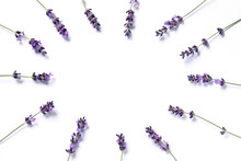 The Sprigs Of Flowering Lavender Are Arranged In A Circle On A Bright Background. Blank For A Gentle Invitation
