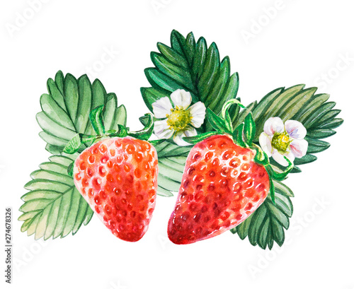 Watercolor red juicy strawberries with leaves and flower. Food background, pa...