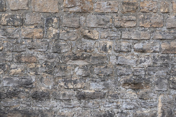 Canvas Print - brick wall texture for background