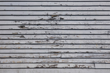 Wall Mural - The old wood texture with natural patterns