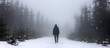wanderer in an foggy winter landscape panorama