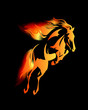 wild mustang horse jumping among fire flames - blazing animal vector design on black