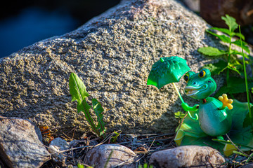 toy frog on a rock