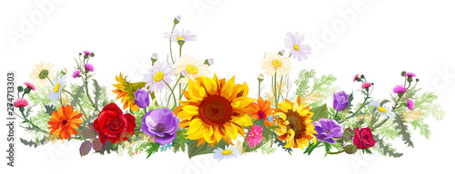 Horizontal autumn’s border: sunflowers, blue anemones, thistles, gerbera, daisy flowers, small