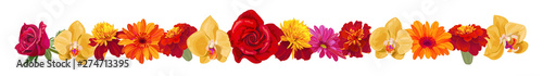 Panoramic view: roses, gerberas, daisies, marigold (tagetes), orchids. Horizo...