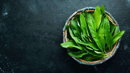 fresh wild garlic leaves in a wooden box. wild leek. top view. free space for your text.