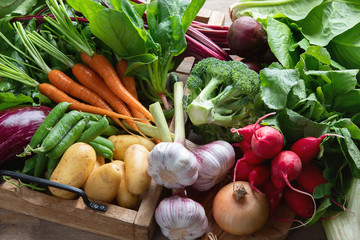 Wall Mural - Assortment of fresh vegetables