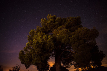 Wall Mural - starry night in the mountain