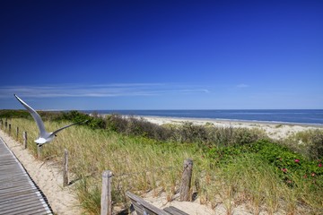 view of the beach